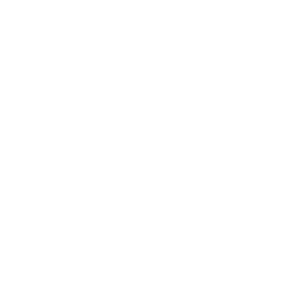 Bonsai Matcha